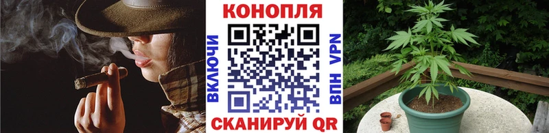 Бошки Шишки семена  Нижний Новгород 